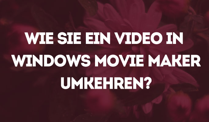 Wie umgekehren Sie ein Video in Windows Movie Maker