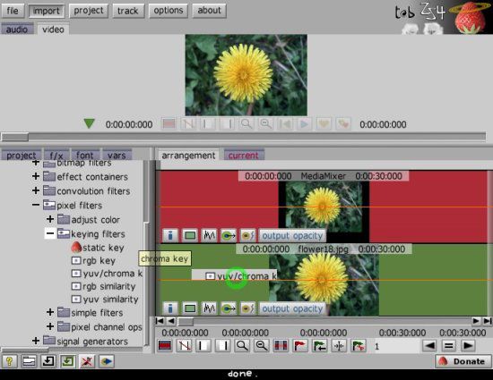 zs4 video editor green screen